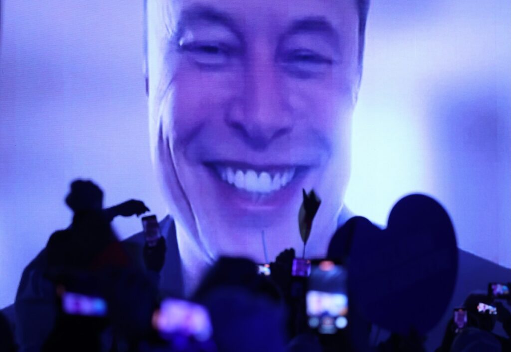 elon-musk-election-afd-purple.jpg