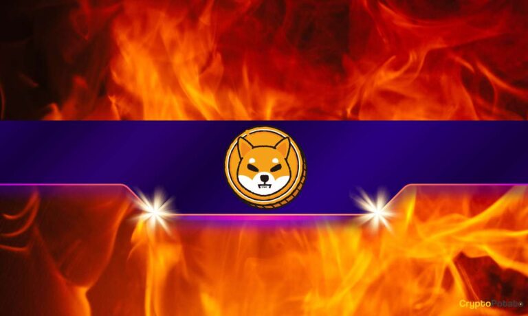 SHIB_CB-7.jpg