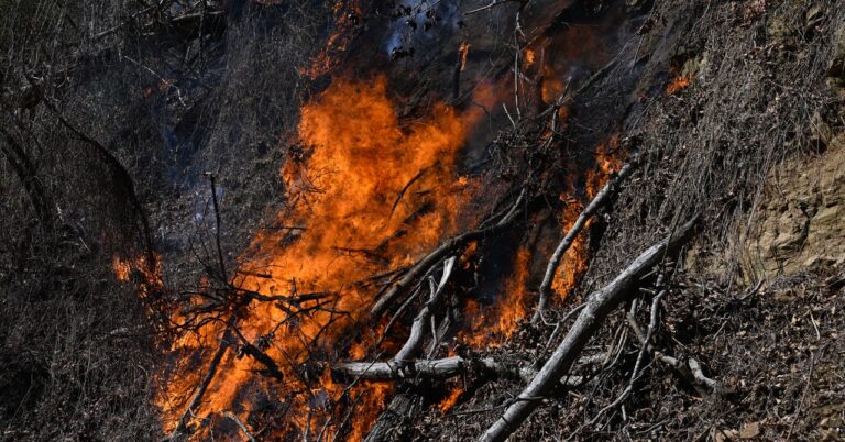 Science_Carolinas_wildfire_GettyImages-2202662290.jpg