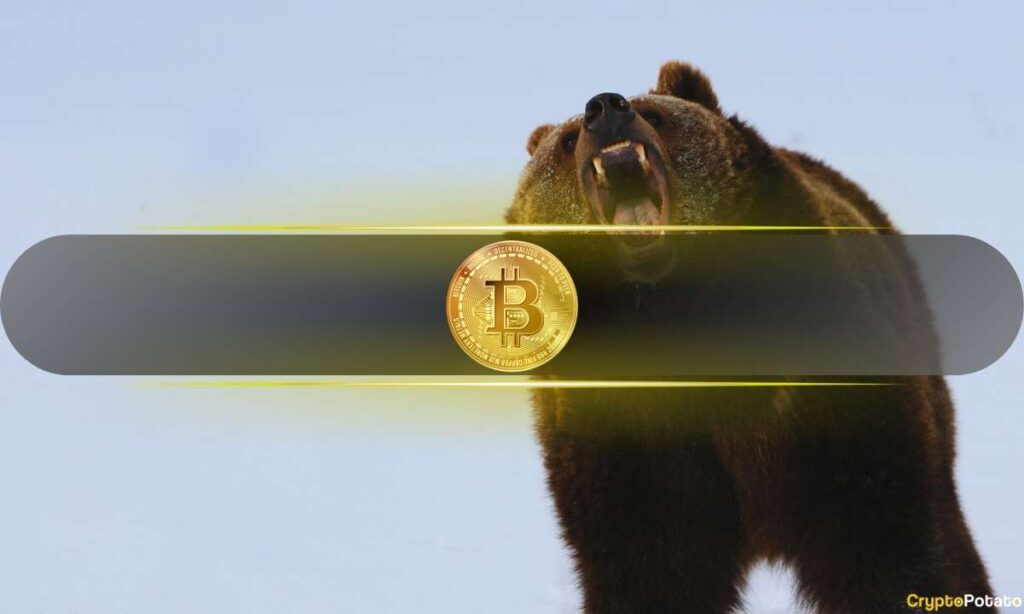 btc_bear_cover.jpg