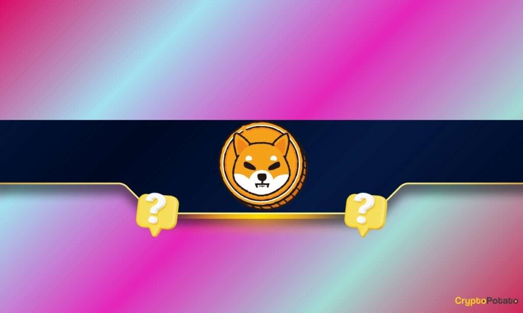 SHIB_CB-9.jpg