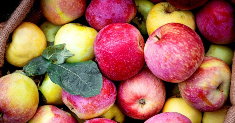 Apple-Juice-Shortage-Business-2211147875.jpg