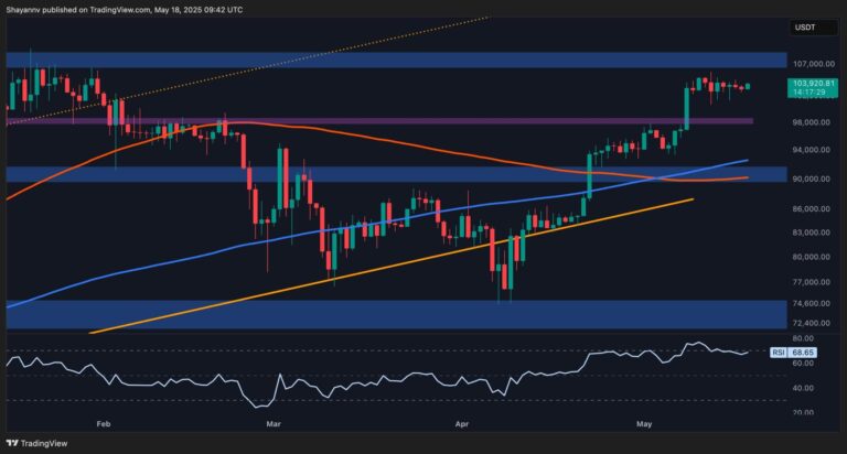 BTC-D-4-scaled.jpg