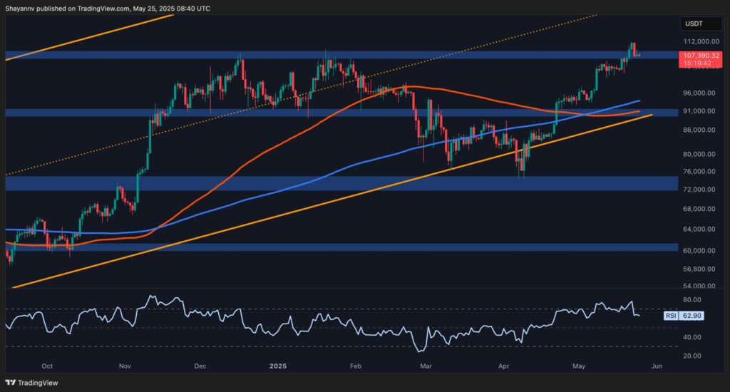 BTC-D-5-scaled.jpg
