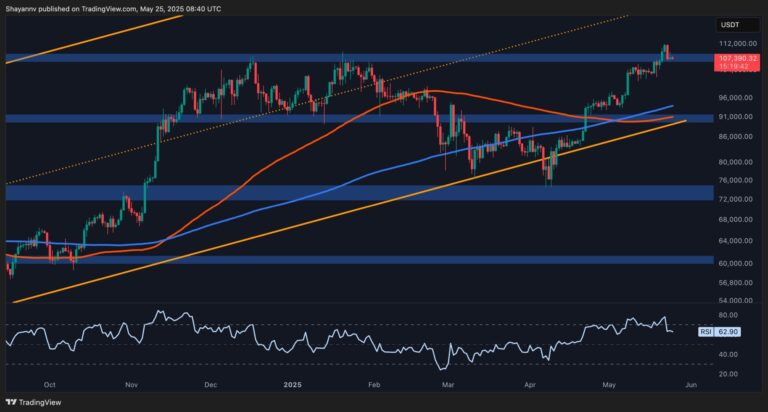 BTC-D-5-scaled.jpg
