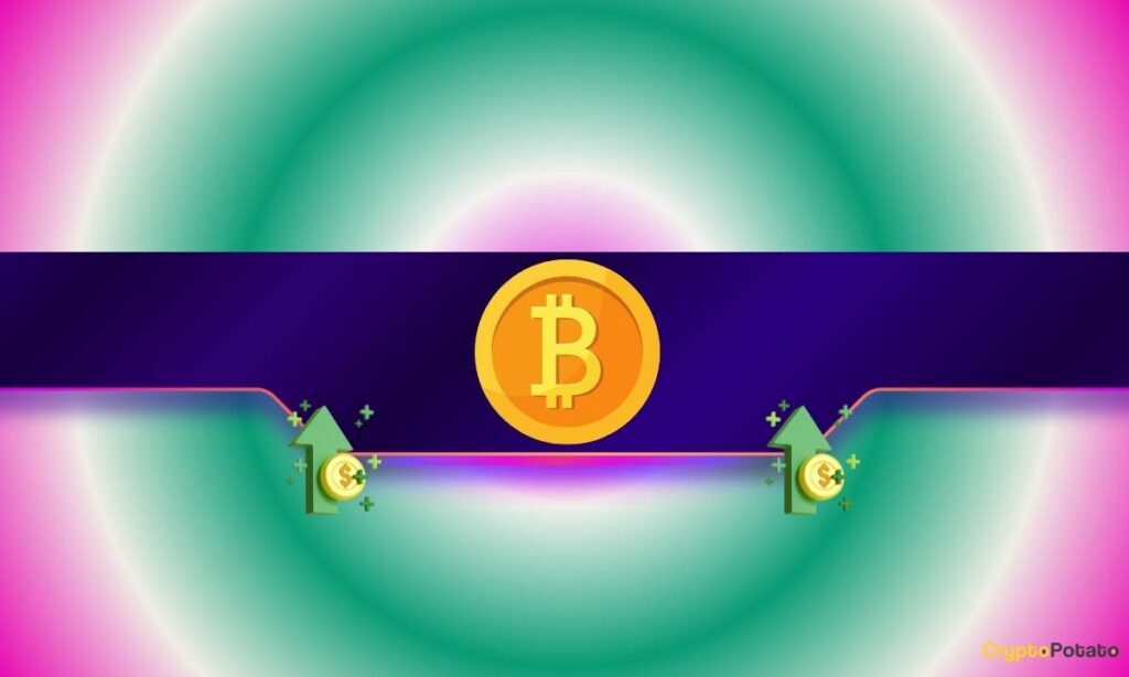 BTC_CB-9.jpg