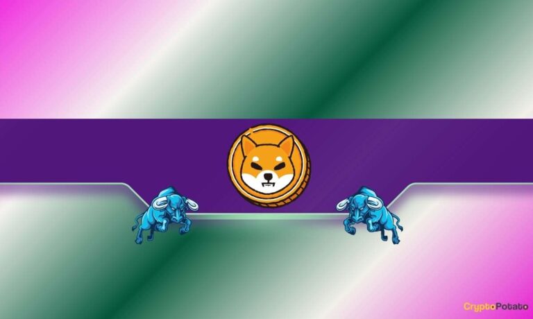 SHIB_CB-13.jpg