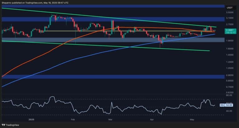XRP-D-4-scaled.jpg