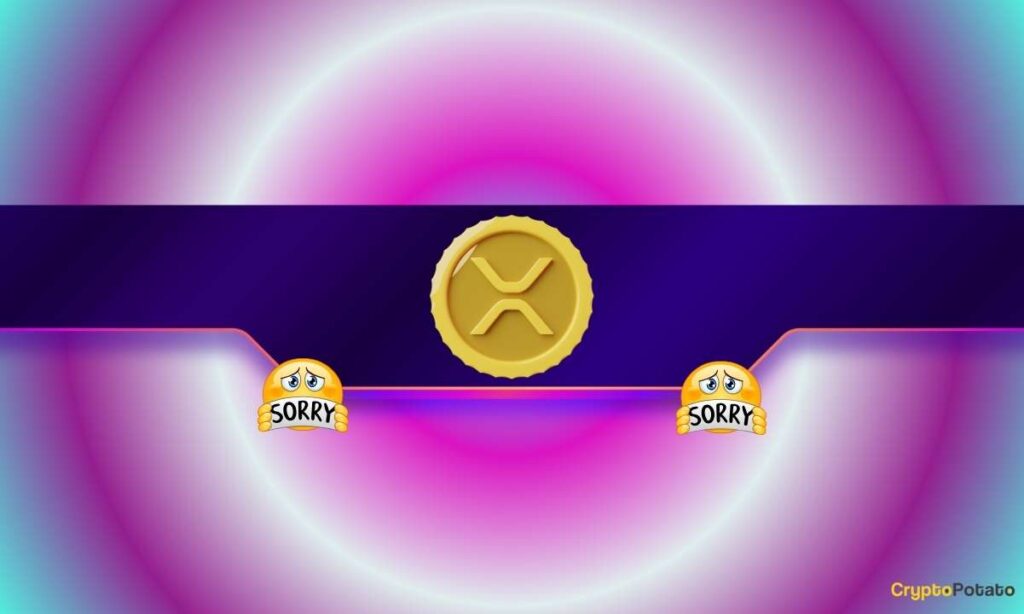 XRP_CB-81.jpg