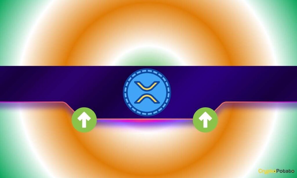 XRP_CB-92.jpg