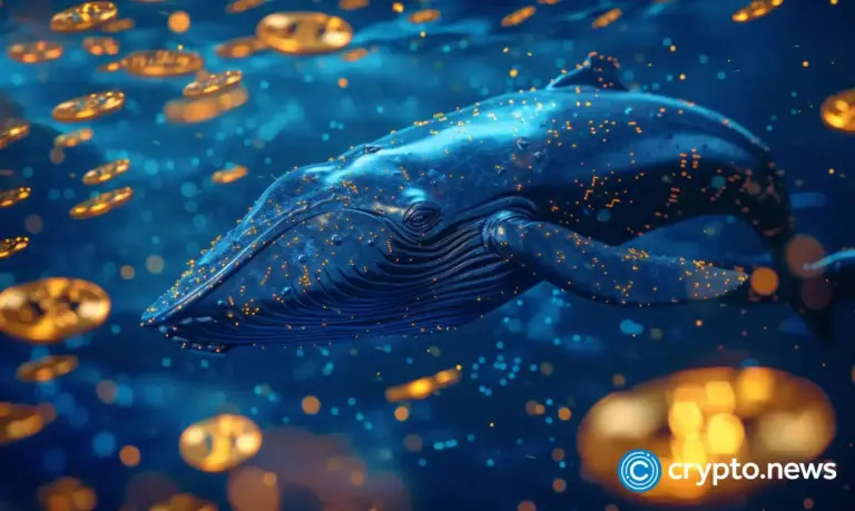 crypto-news-Whale-crypto-coins-option05.webp.webp