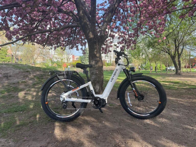 heybike-alpha-.jpg