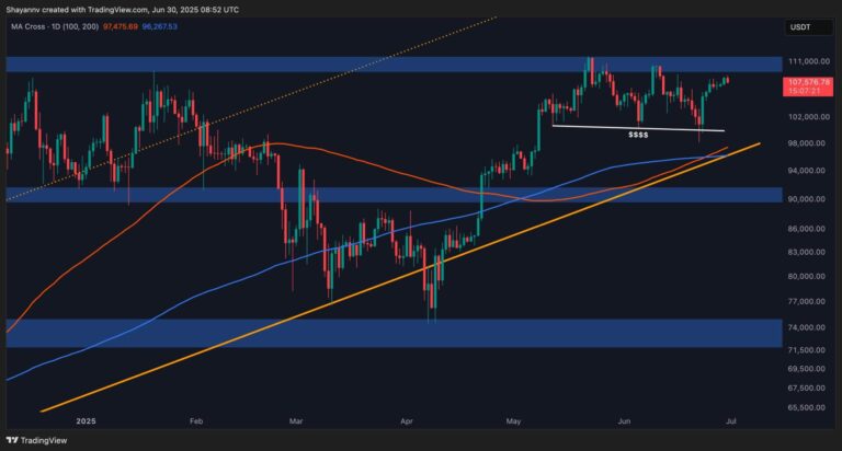 BTC-D-5-scaled.jpg