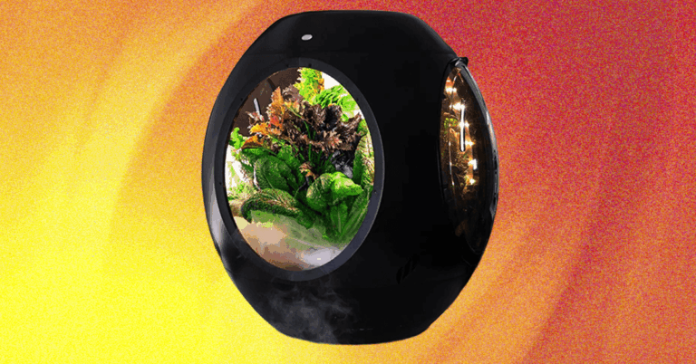 Review-20Plantaform20Smart20Indoor20Garden_.png