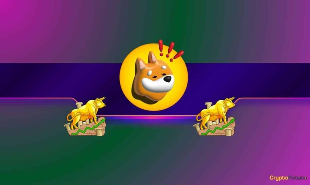 BONK_CB-5.jpg