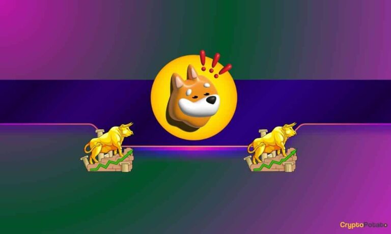 BONK_CB-5.jpg