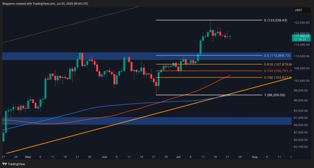 BTC-D-4-scaled.jpg