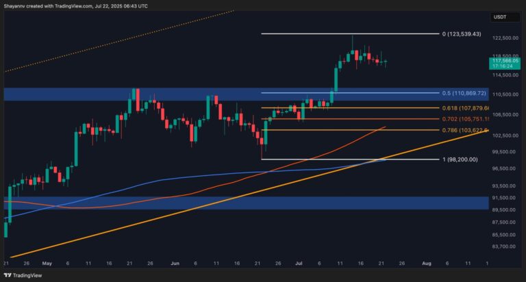BTC-D-4-scaled.jpg
