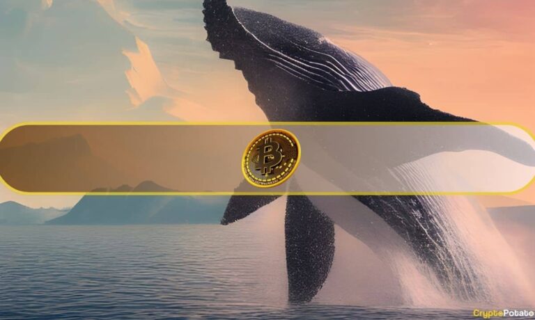 Bitcoin_Whale.jpg
