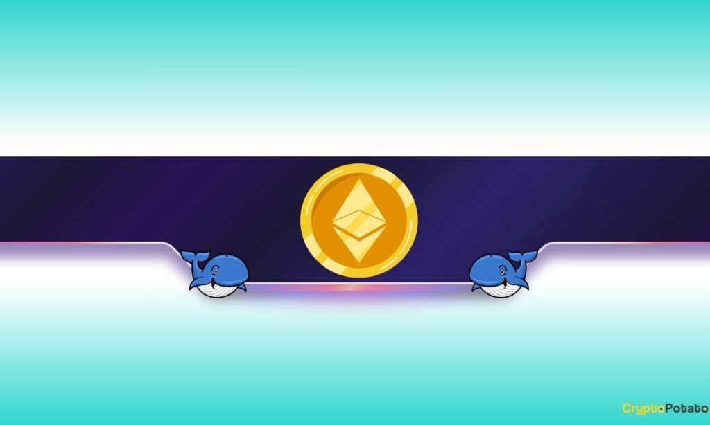 ETH_CB-14.jpg