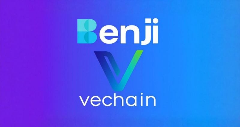 Franklin-Templeton-partners-with-VeChain-800x425.jpg
