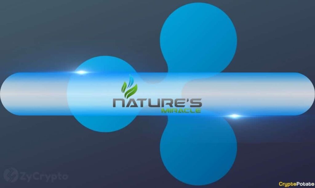 Natures.jpg
