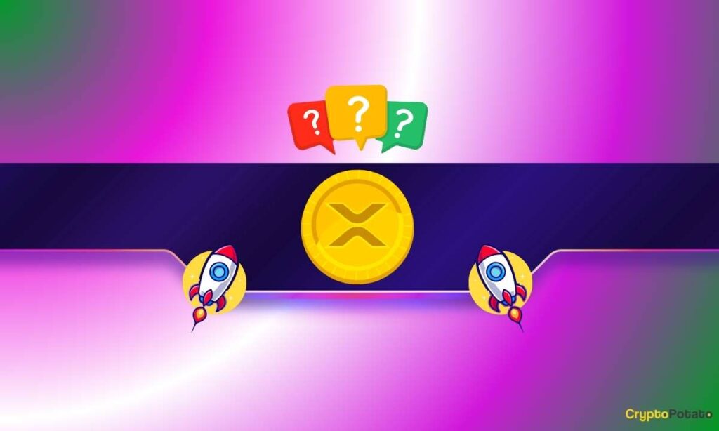 XRP_CB-22.jpg