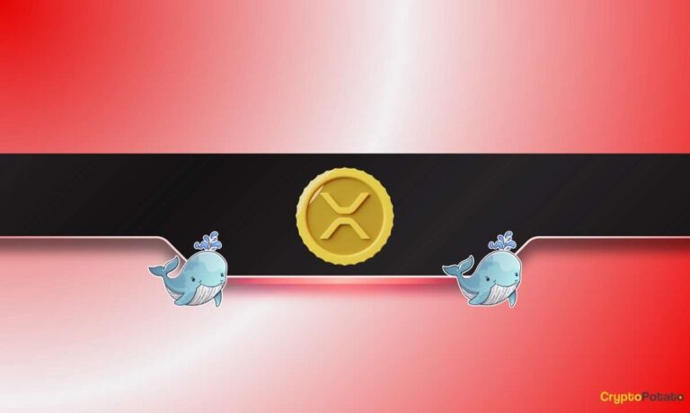 XRP_CB-5.jpg