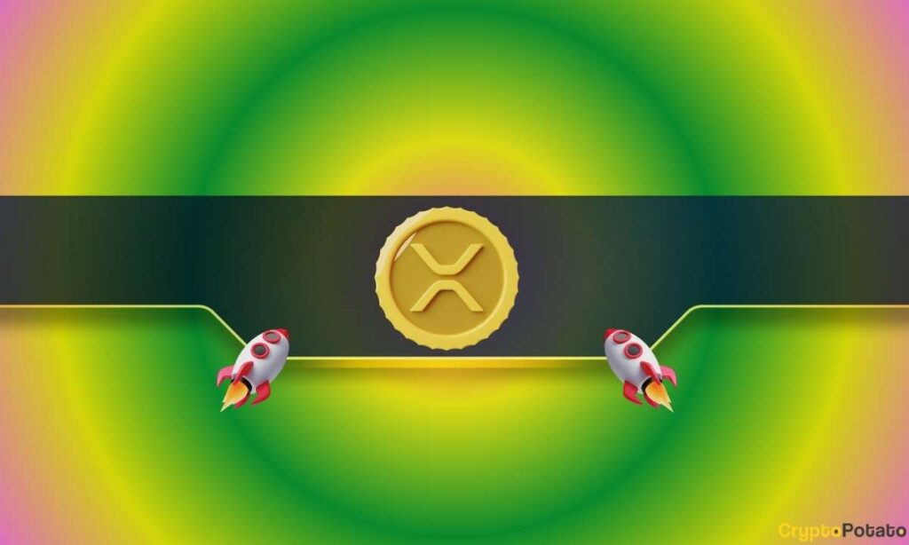 XRP_CB-65.jpg