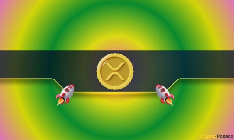 XRP_CB-65.jpg