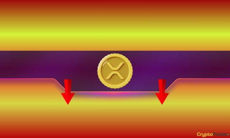 XRP_CB-73.jpg