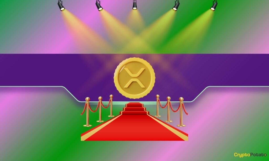 XRP_CB-82.jpg