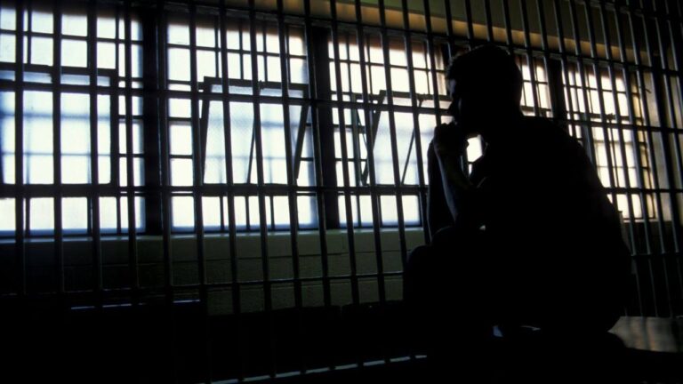 bitcoin-core-developer-arrested-in-el-salvador-for-allegedly-calling-neighbor-stupid.jpg
