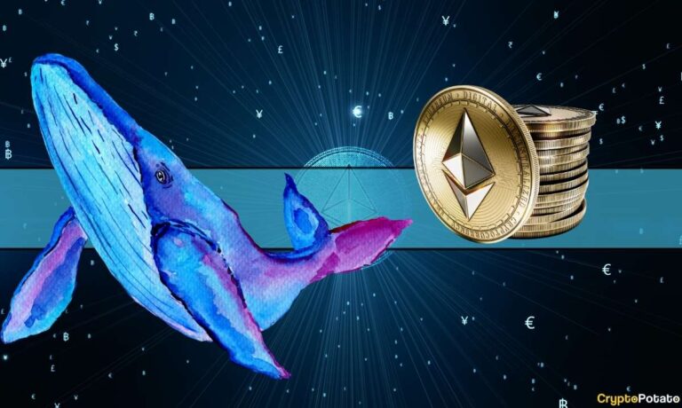 ethereum_whale_cover.jpg