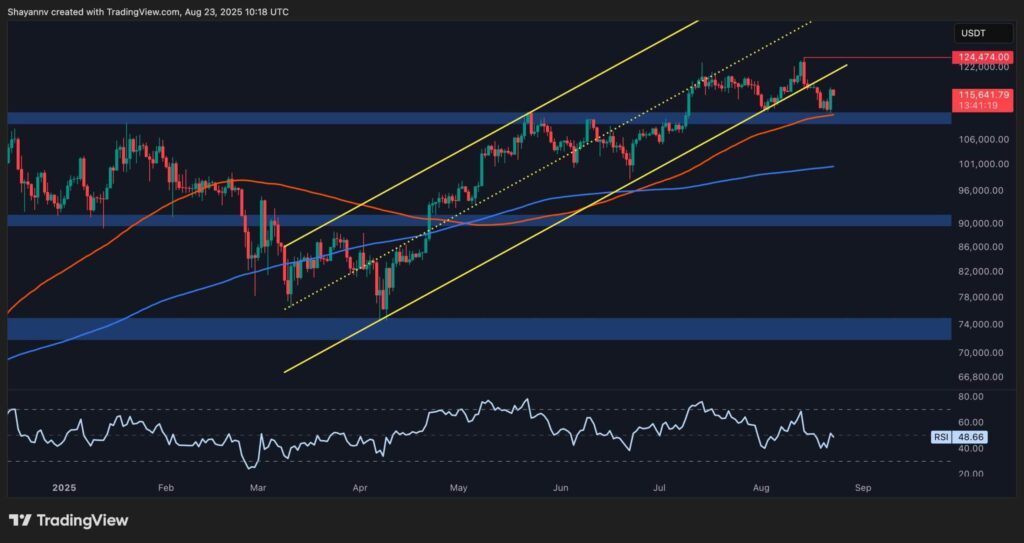BTC-Daily-3-scaled.jpg