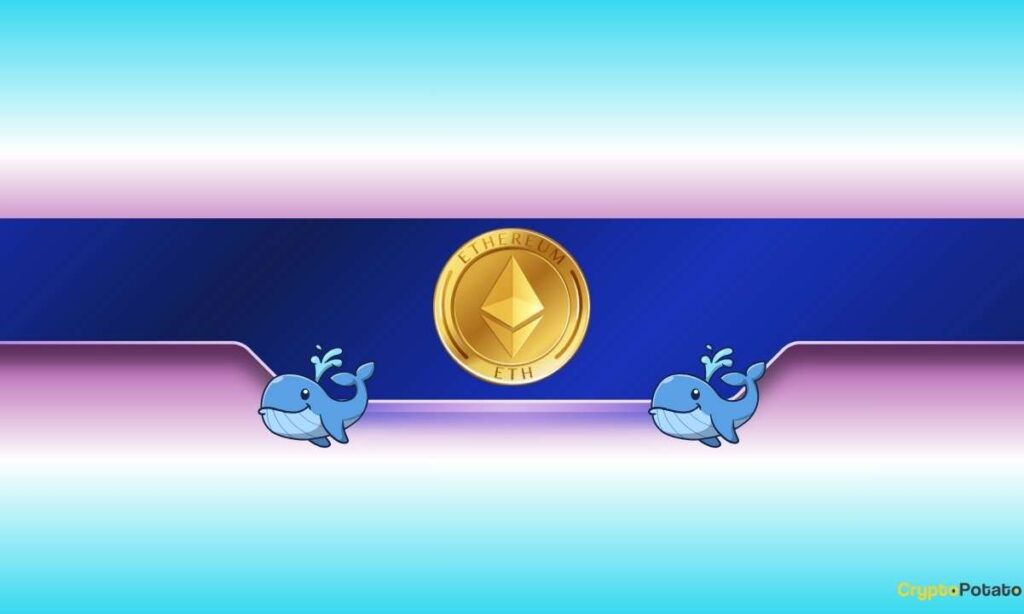 ETH_CB-16.jpg