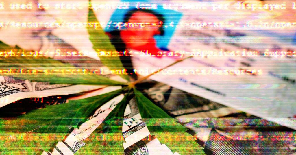 Security_weedcard_GettyImages-1466383594.jpg