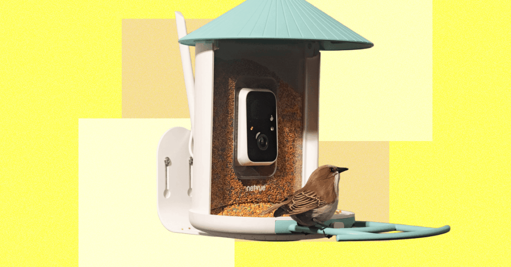 The20Best20Smart20Bird20Feeders20for20Backyard20Birding.png