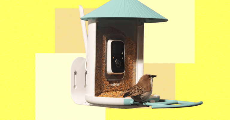 The20Best20Smart20Bird20Feeders20for20Backyard20Birding.png