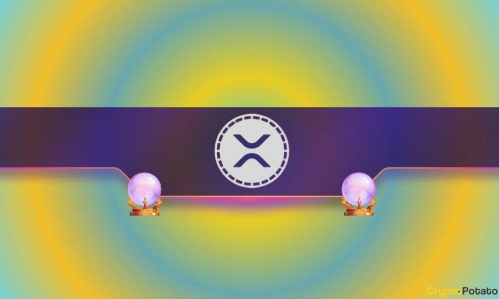 XRP_CB-63.jpg