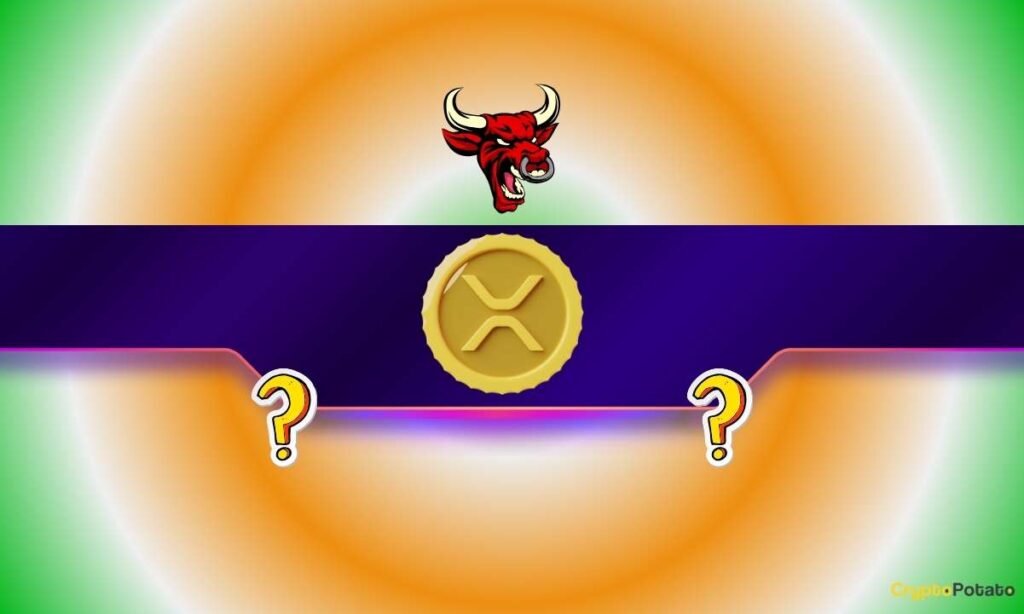 XRP_CB-90.jpg