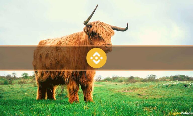 bnb_bull_cover.jpg