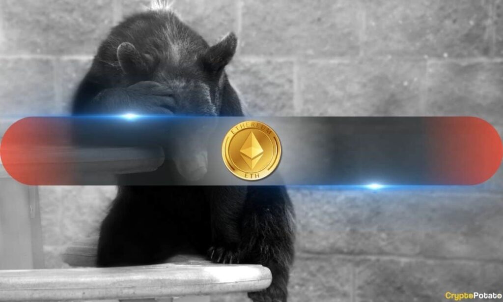 eth_bear_sad_cover.jpg