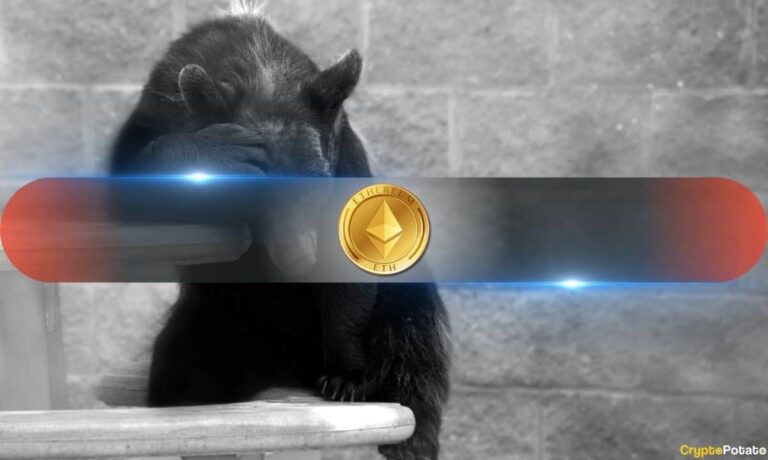 eth_bear_sad_cover.jpg