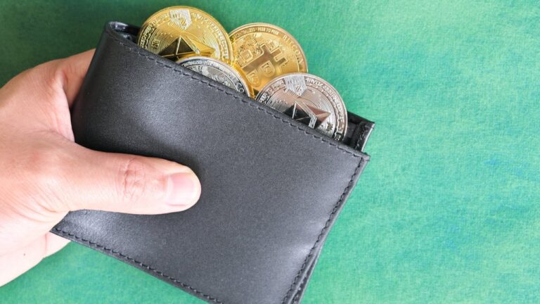 gemini-wallet.jpg