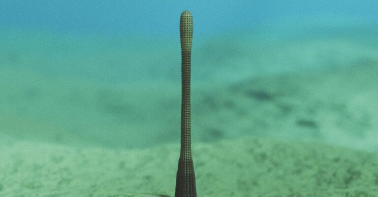 penisworm.jpg