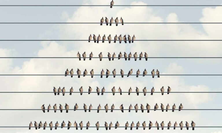 ponzi_pyramid_cover.jpg