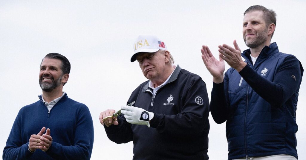 trump-wlfi-biz-2226875692.jpg
