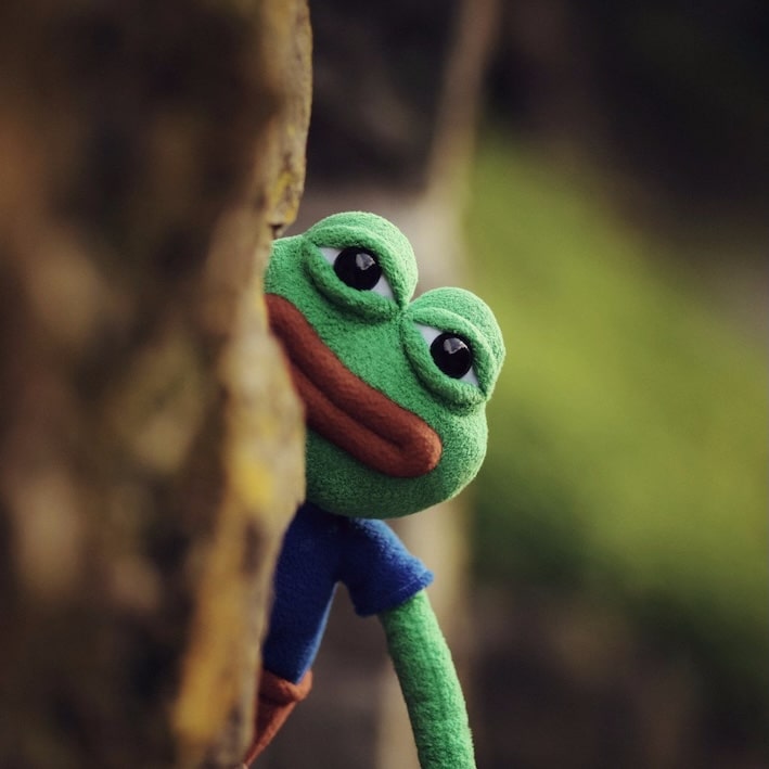zuIDje4ZkwSwsaECaJcG4vNTgGD7lYKPFySEPZhS.jpg