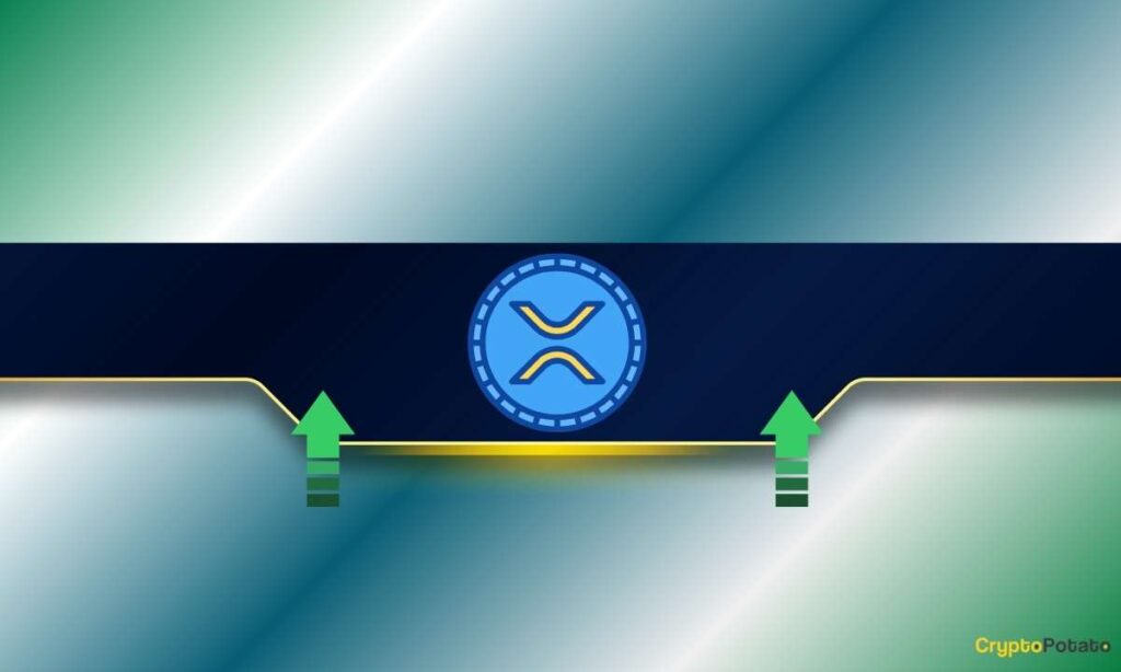 XRP_CB-88.jpg